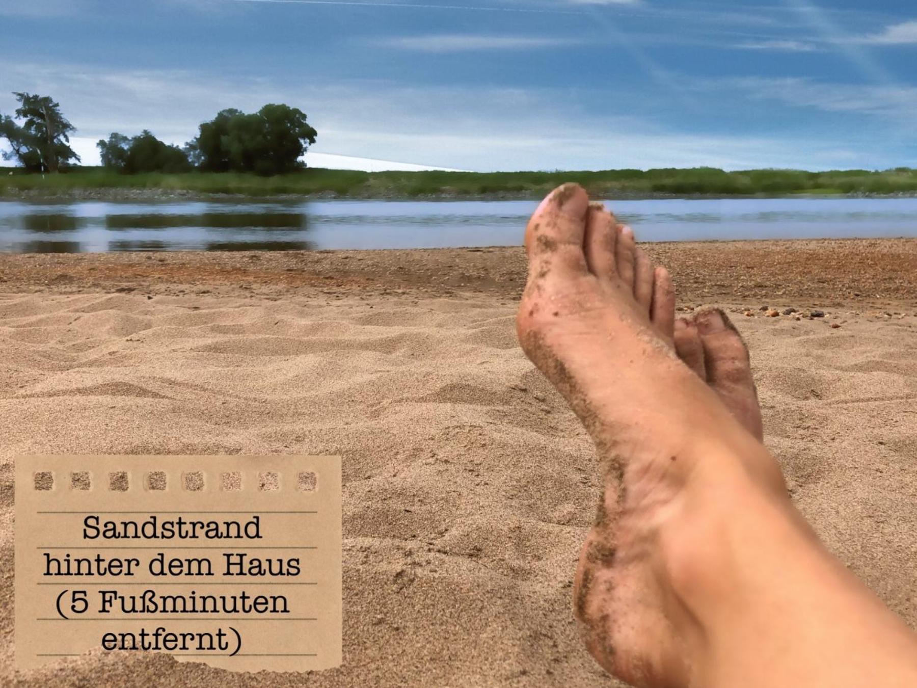 Alte Schule Wittenberg, 3 Ferienwohnungen Fuer Bis Zu 12 Personen, An Der Elbe, Mit Garten 외부 사진