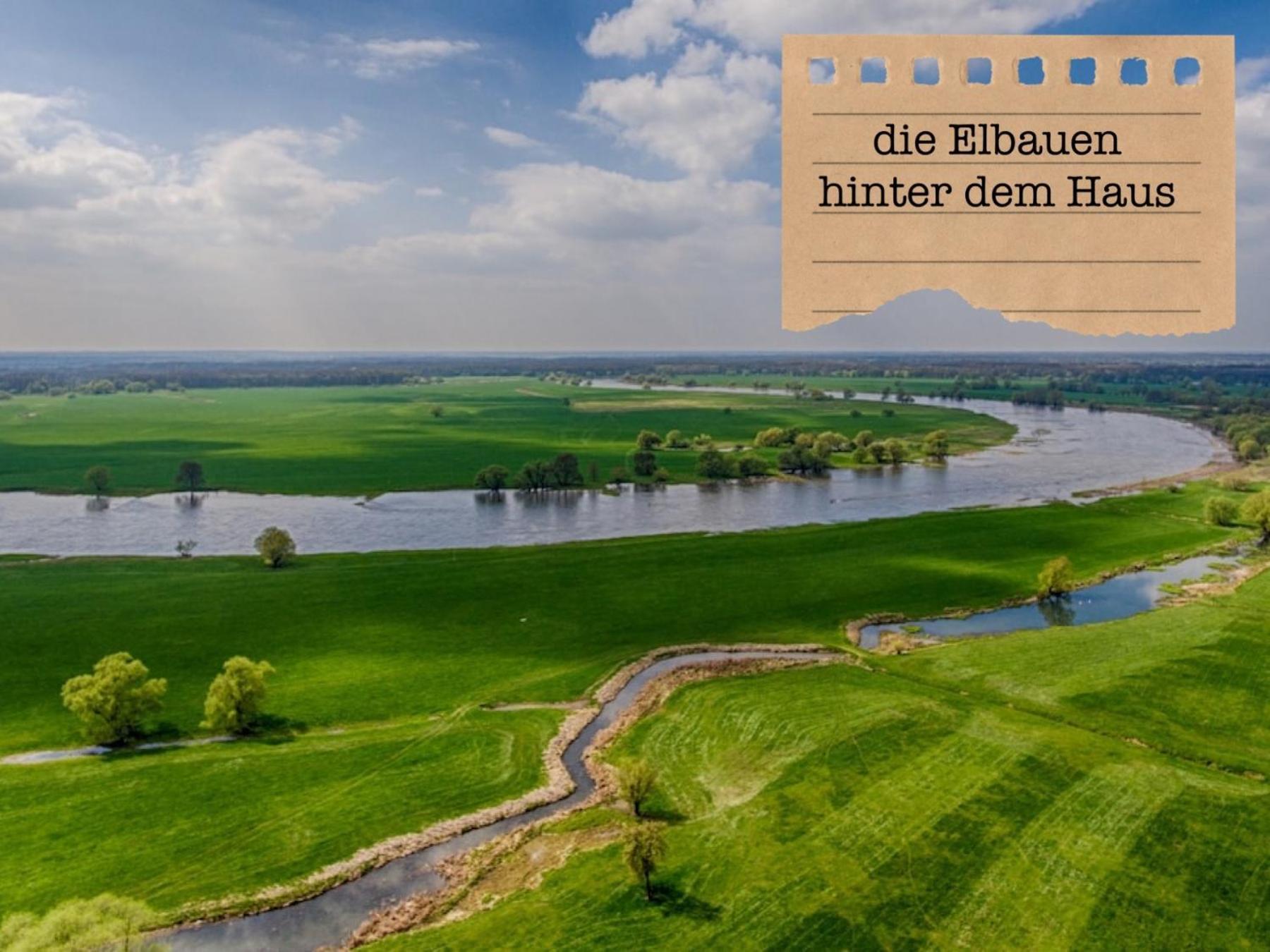 Alte Schule Wittenberg, 3 Ferienwohnungen Fuer Bis Zu 12 Personen, An Der Elbe, Mit Garten 외부 사진