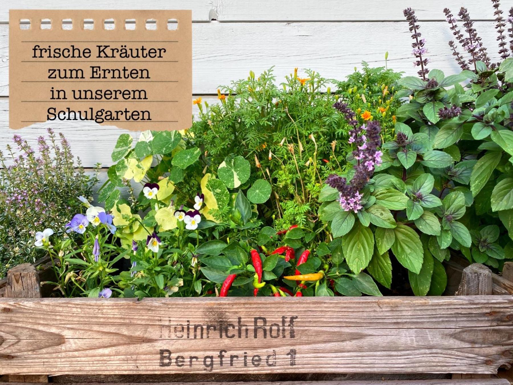 Alte Schule Wittenberg, 3 Ferienwohnungen Fuer Bis Zu 12 Personen, An Der Elbe, Mit Garten 외부 사진