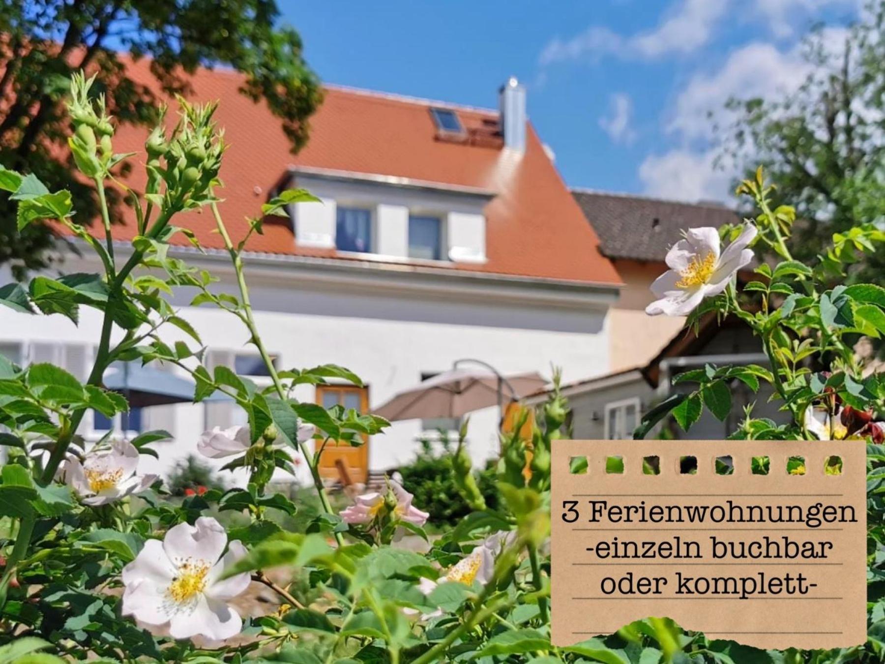 Alte Schule Wittenberg, 3 Ferienwohnungen Fuer Bis Zu 12 Personen, An Der Elbe, Mit Garten 외부 사진