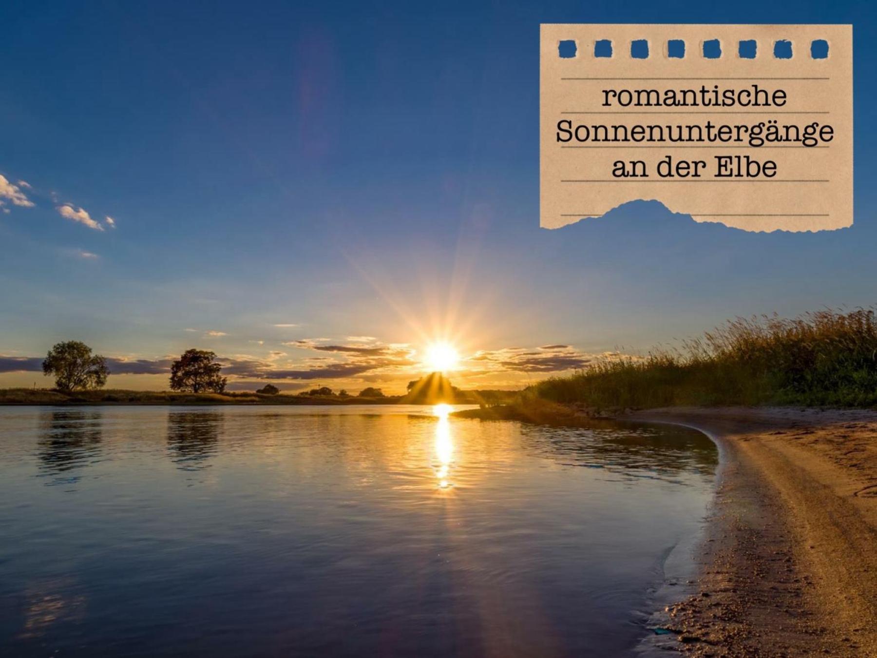 Alte Schule Wittenberg, 3 Ferienwohnungen Fuer Bis Zu 12 Personen, An Der Elbe, Mit Garten 외부 사진