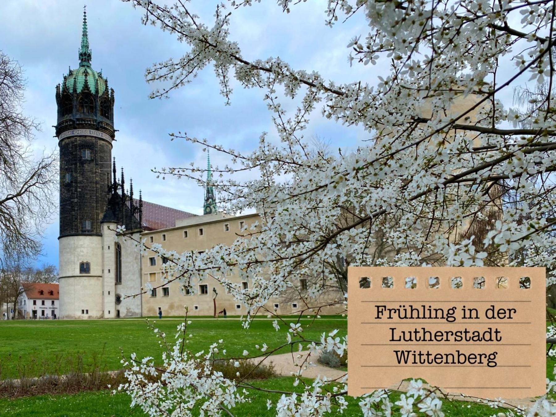 Alte Schule Wittenberg, 3 Ferienwohnungen Fuer Bis Zu 12 Personen, An Der Elbe, Mit Garten 외부 사진