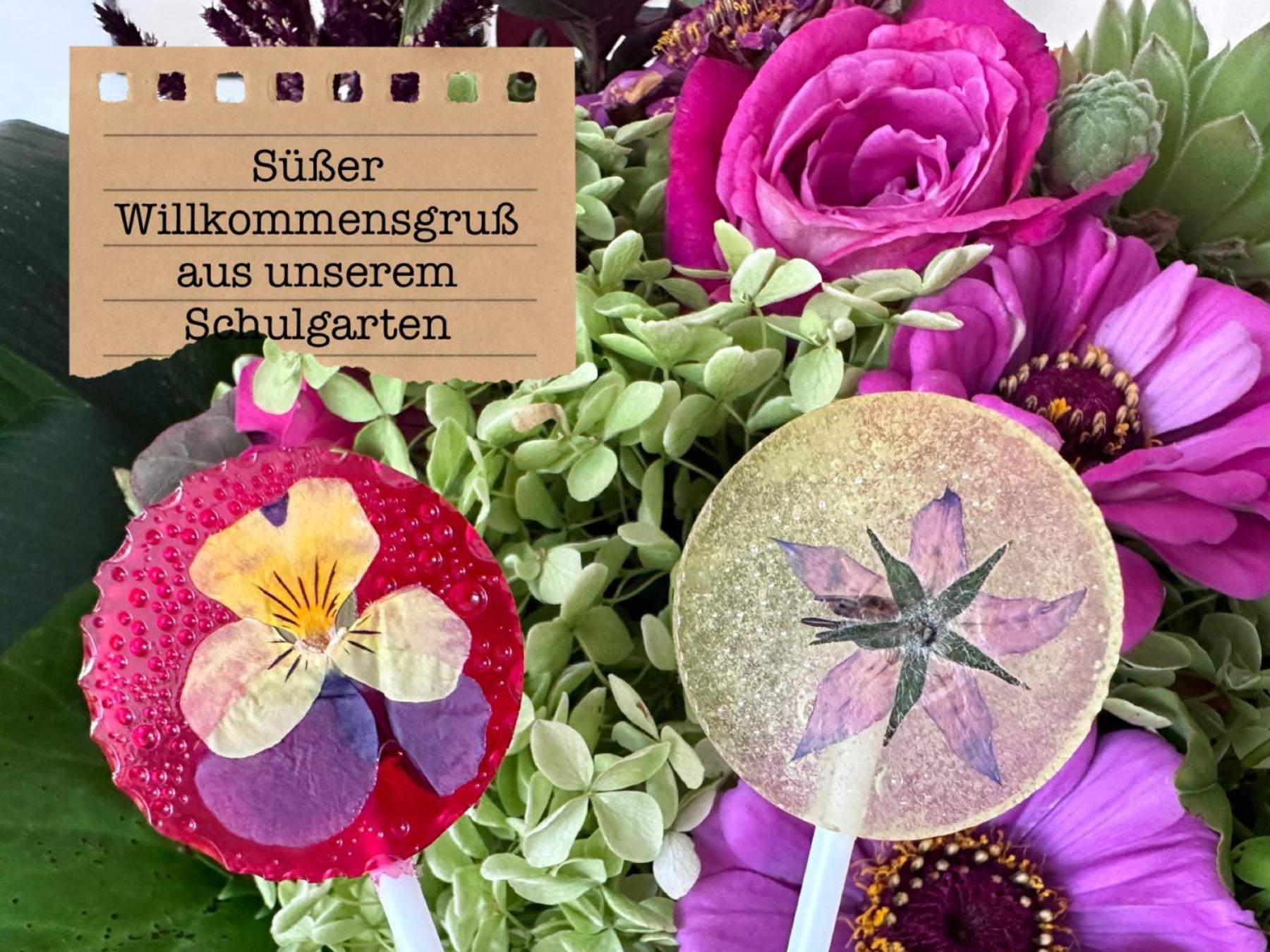 Alte Schule Wittenberg, 3 Ferienwohnungen Fuer Bis Zu 12 Personen, An Der Elbe, Mit Garten 외부 사진